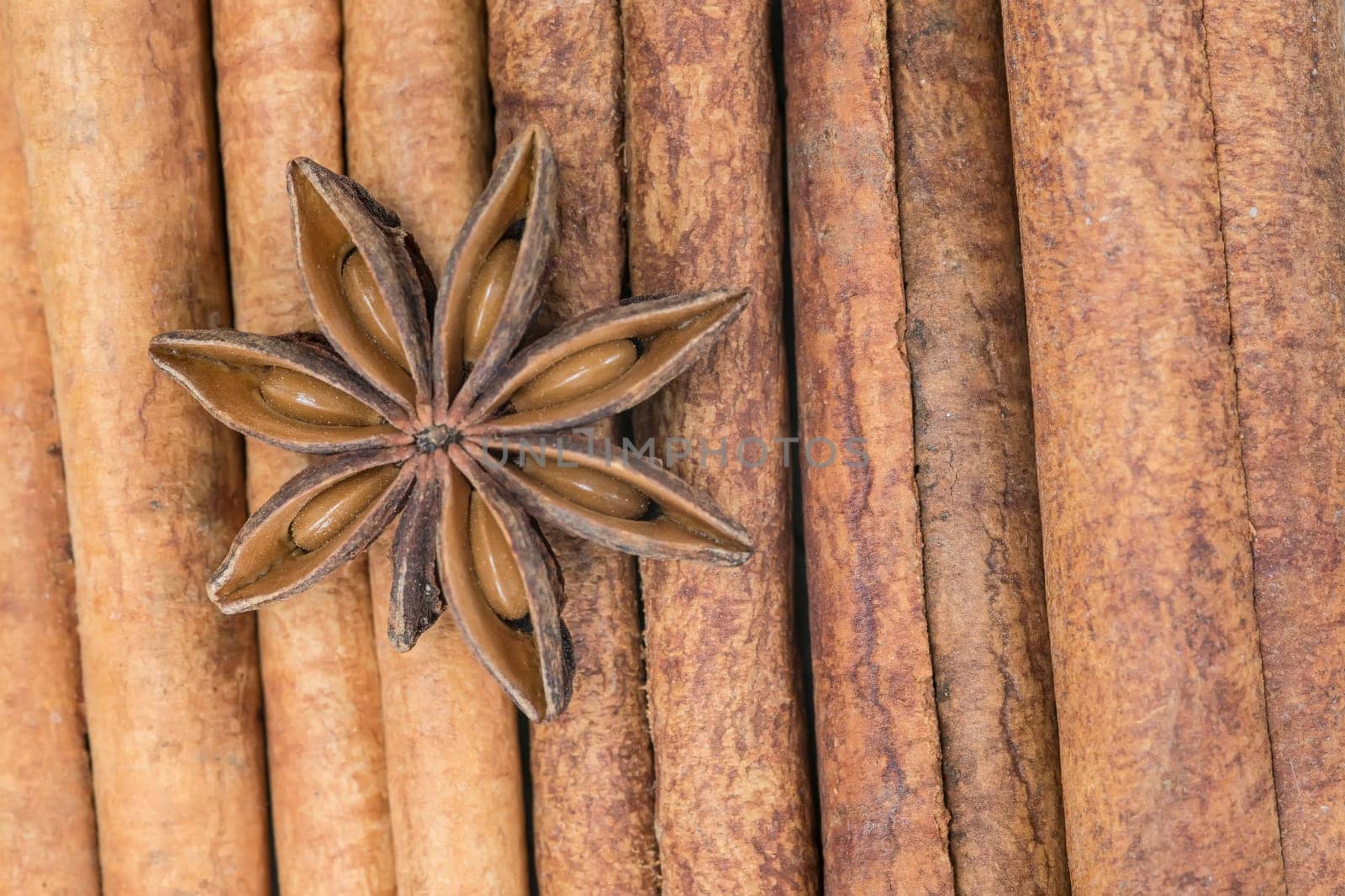 Cinnamon sticks set and star anise showing its wooden texture