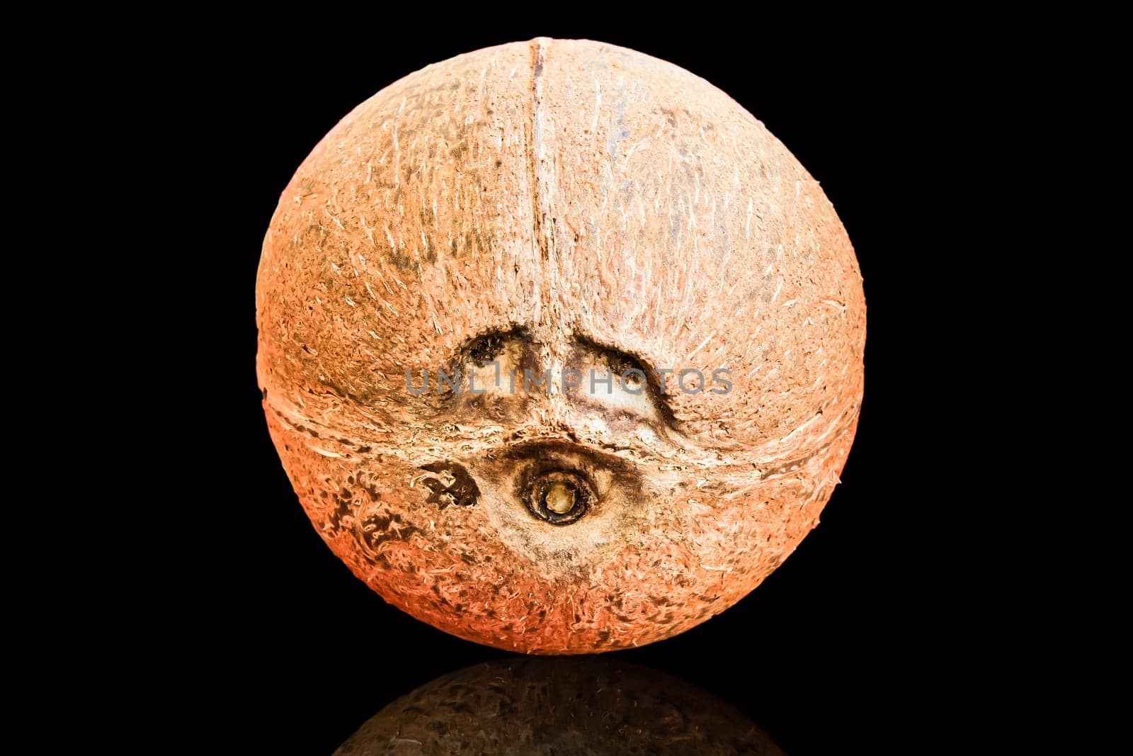 coconut fruits Eye is two round depressions are found on one end of.the coconut fruit. Look like the eyes and nose.
