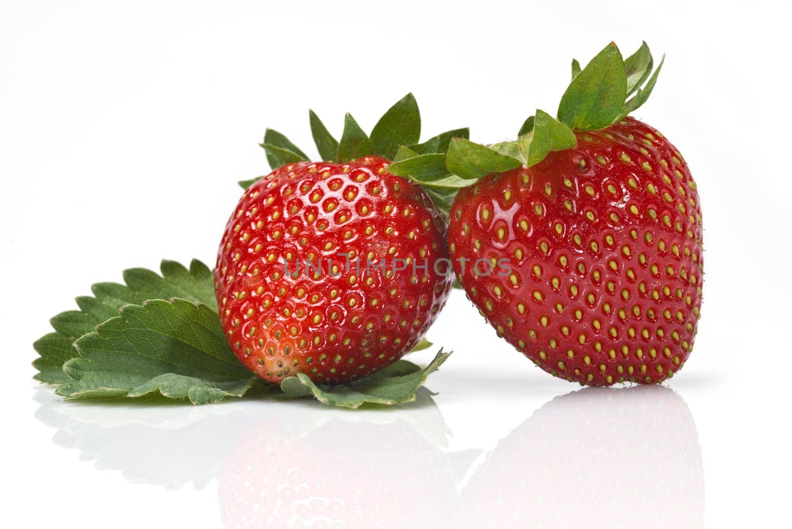 Strawberries with their leaves isolated on a white background