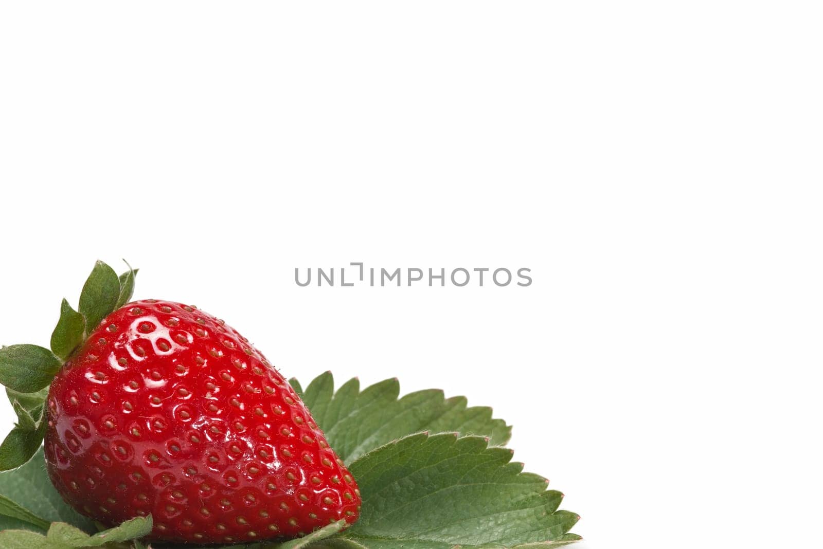 Strawberries with their leaves isolated on a white background