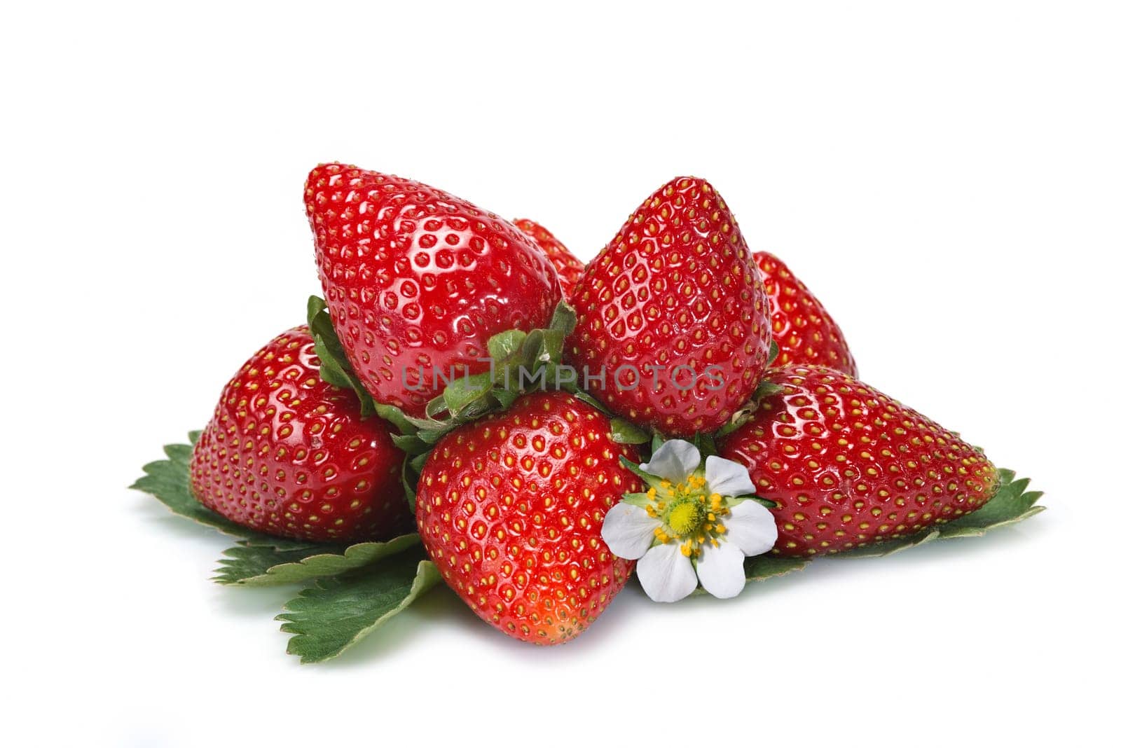 Strawberries with their leaves isolated on a white background