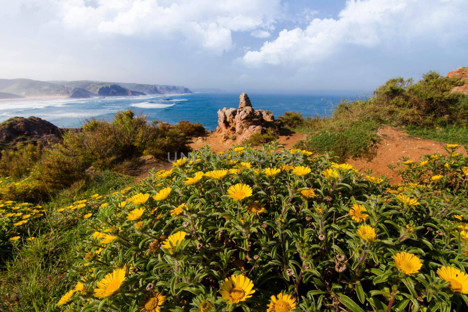 Beautiful landscape view of coastal Algarve region near Sagres, Portugal.
