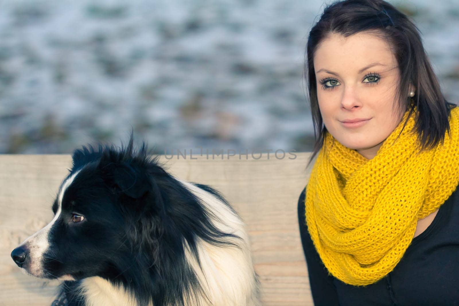 Young adult and her best friend sitting on a bench in winter. The dog is a border collie. With copy space.