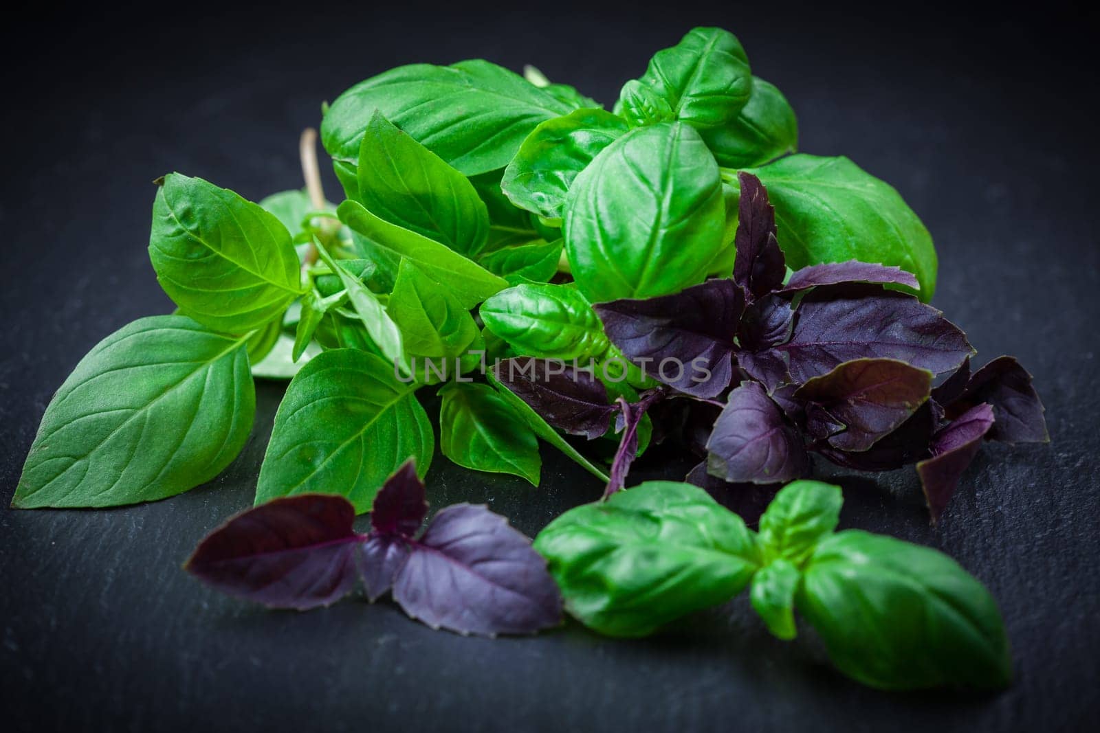 Variation of basil on black background