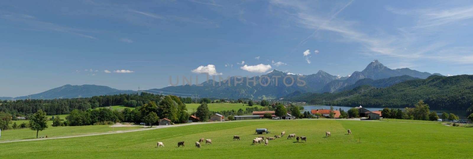 Panorama at Lake Weissensee in the Allgäu / Bavaria