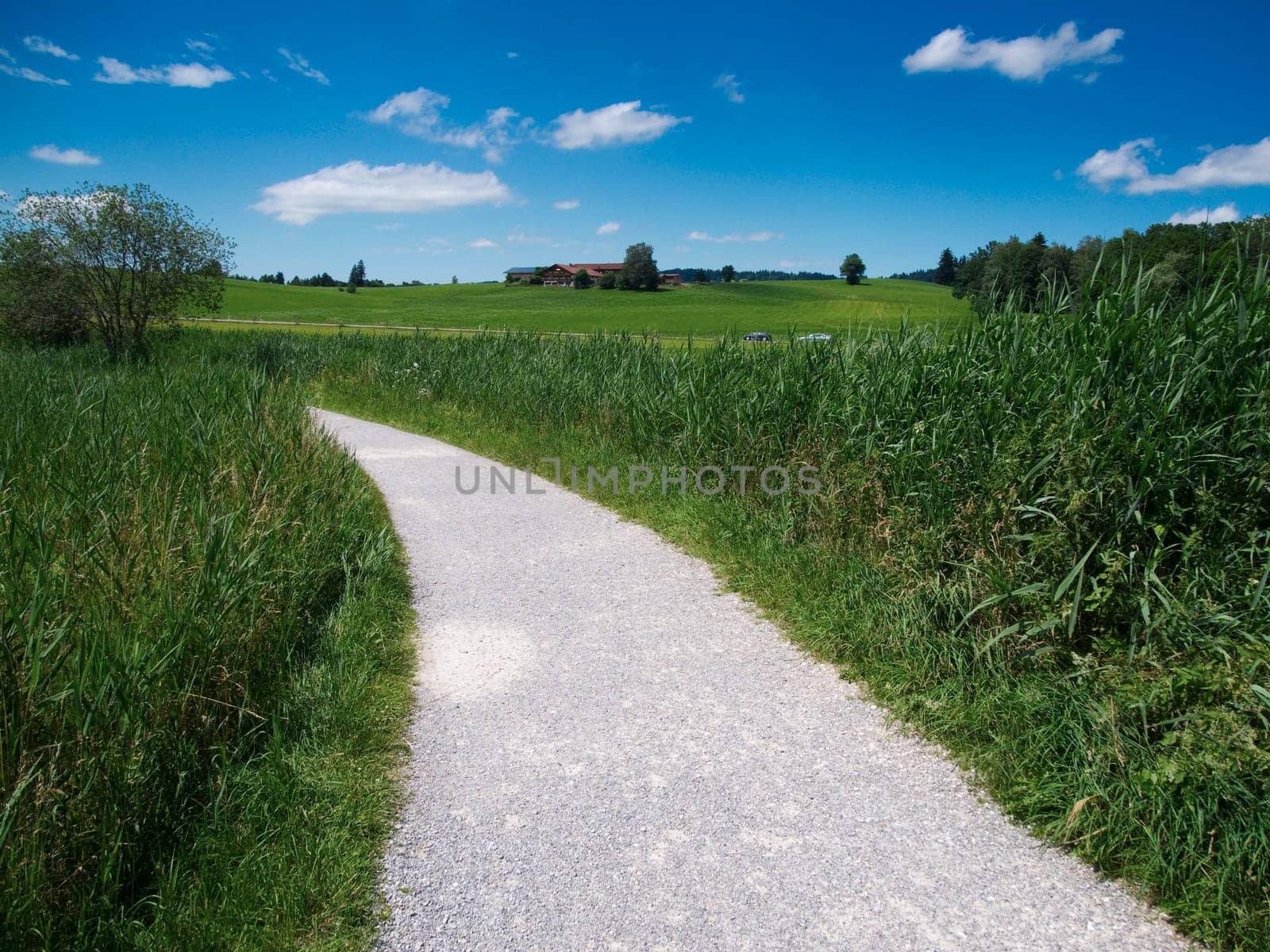 View of the hiking trail around the Hopfensee in the Bavarian Allgäu