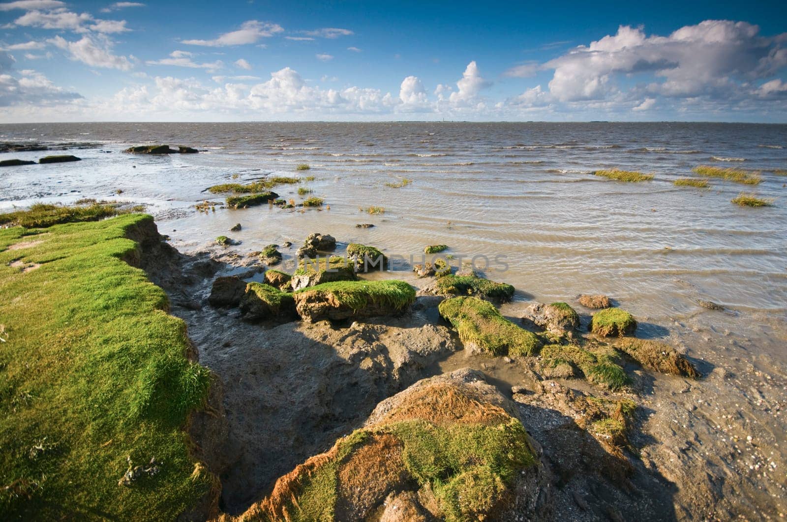 View of the North Sea beach at Hilgenriedersiel near the city of Norden / Lower Saxony at the beginning of sunset with fragments of the adjacent pasture land