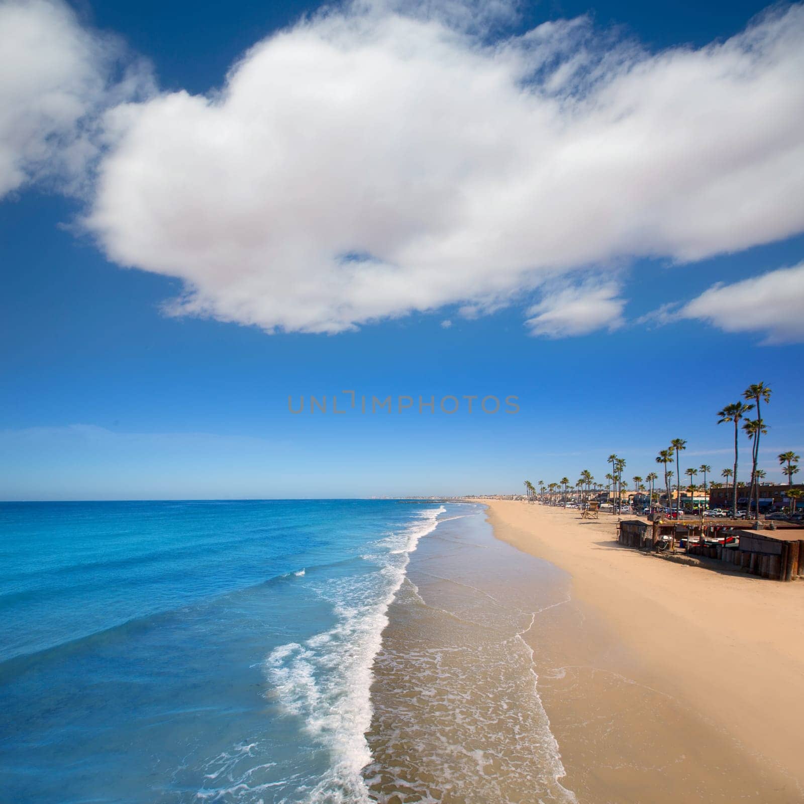 Newport beach in California with palm trees along the shore