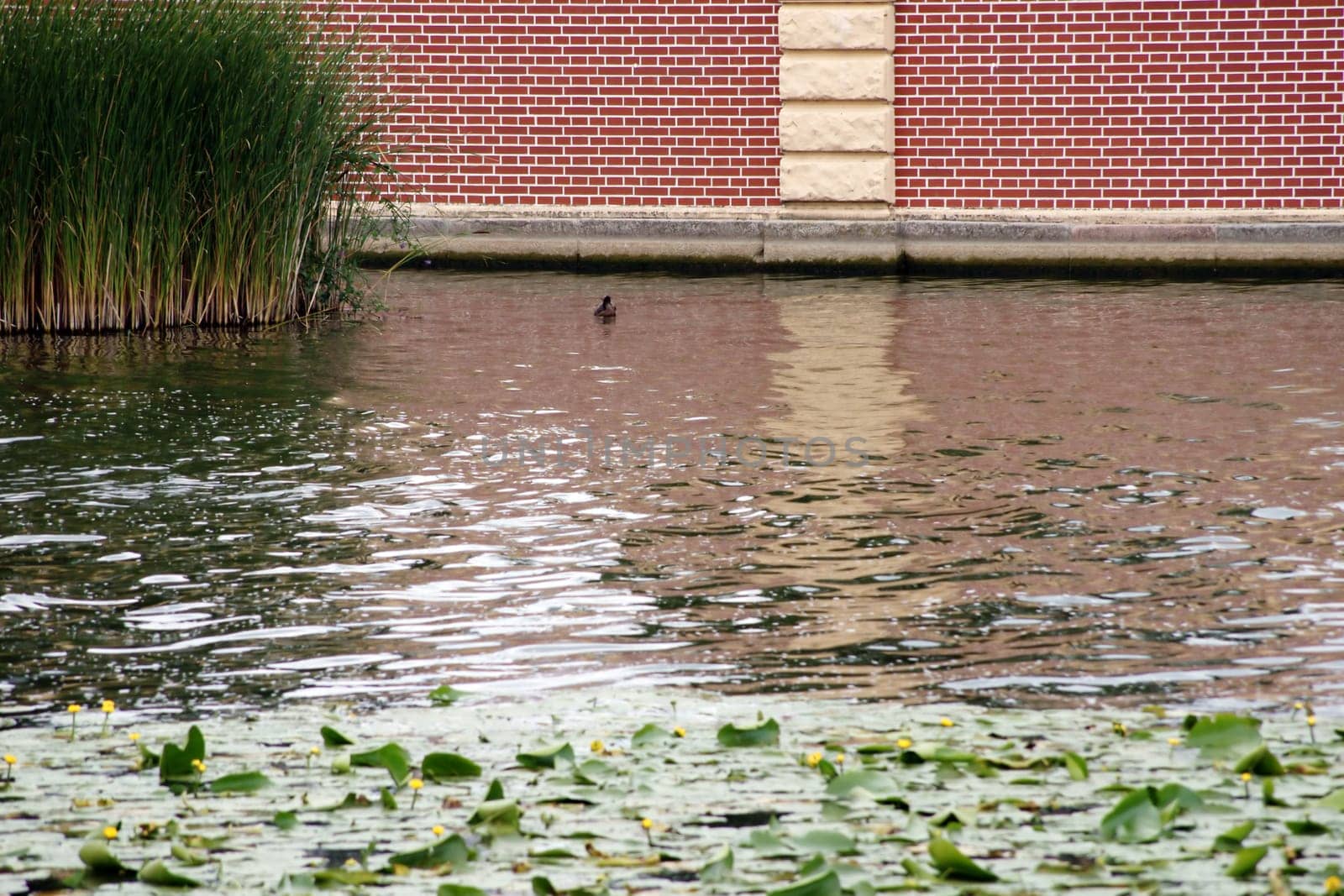 The photograph of a body of water with a quay wall.