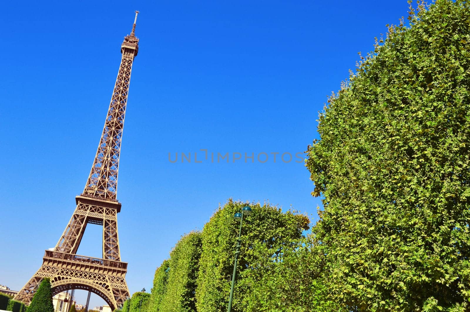 The Eiffel Tower in Paris, France
