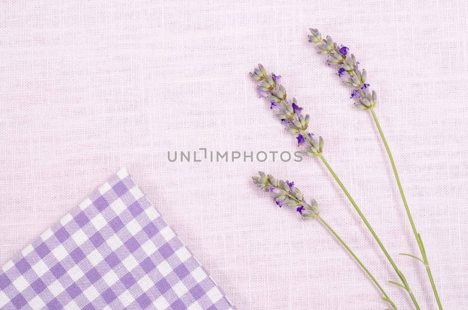 Lavender flowers and violet white checkered cloth