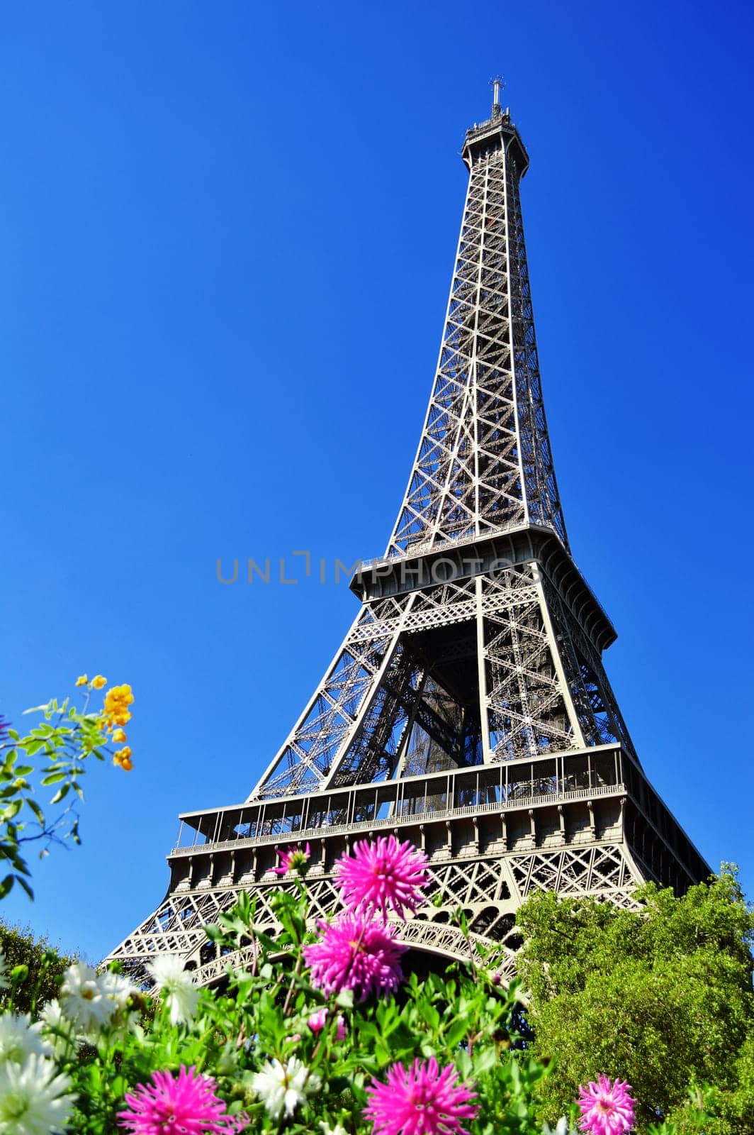 The Eiffel Tower in Paris, France