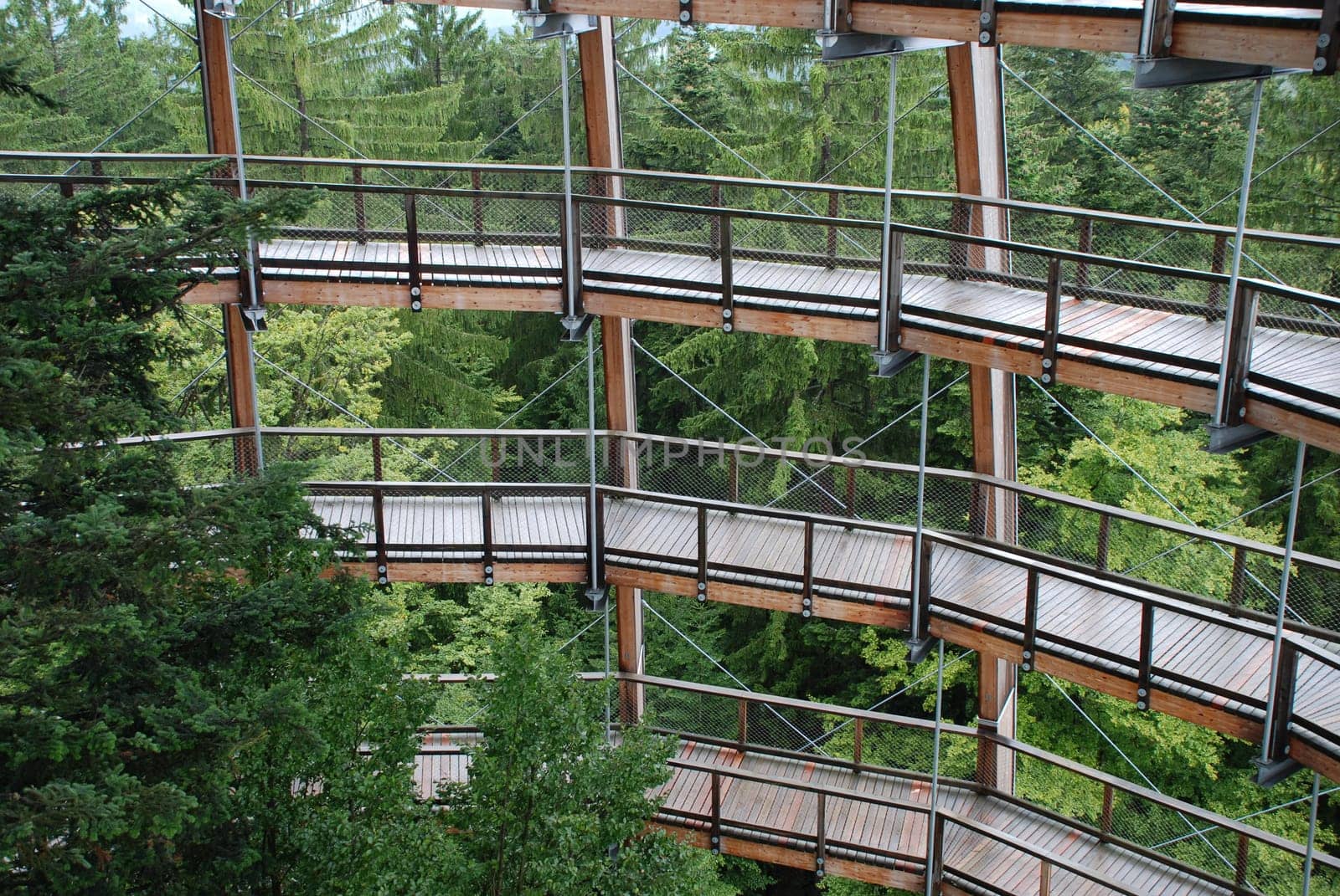 Treetop Walk Bavarian Forest Freyung-Grafenau Park National Park
