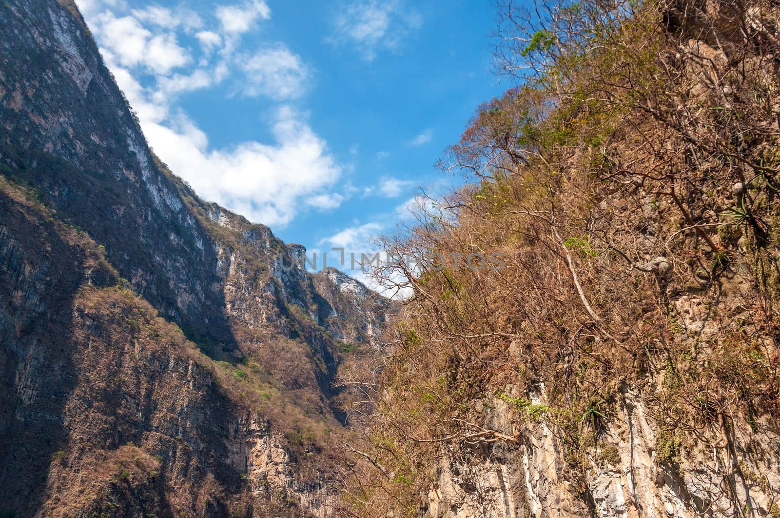 Walls of Sumidero Canyon in Chiapas, Mexico