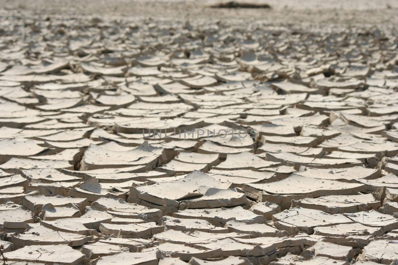 Dry land background