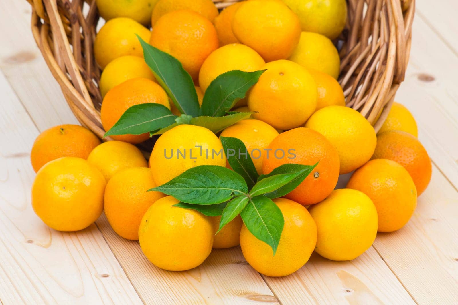 fresh tangerines on the table