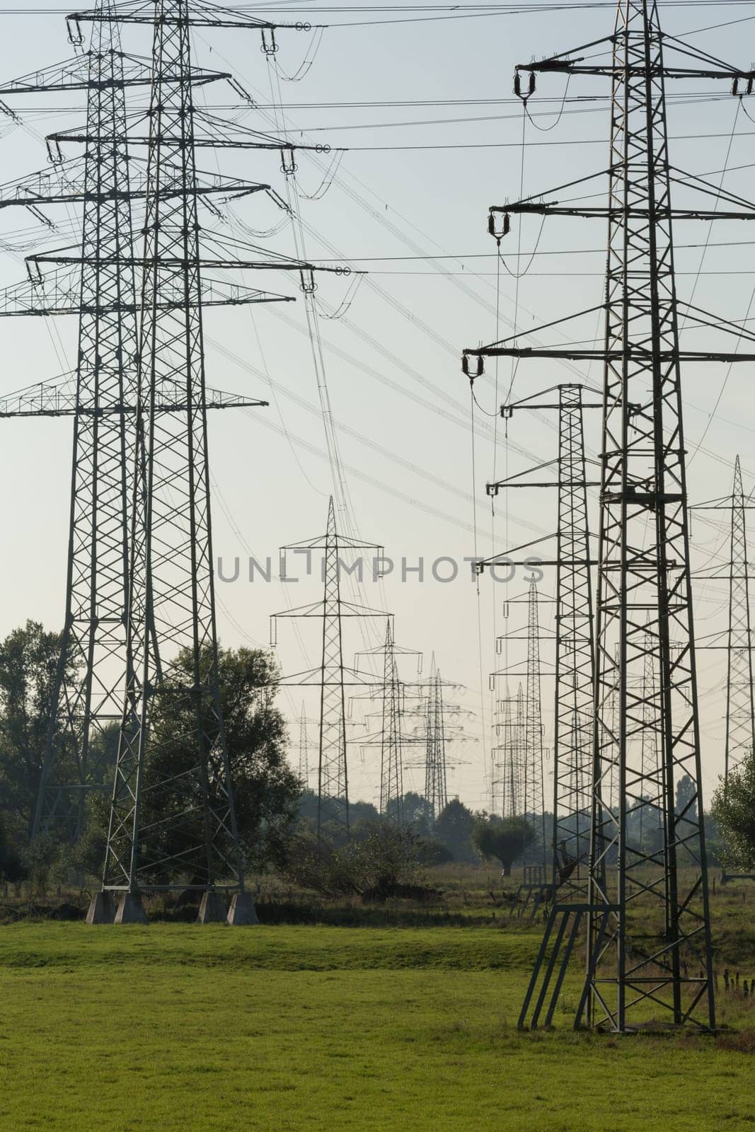 A large number of overhead power lines in vanishing point perspective