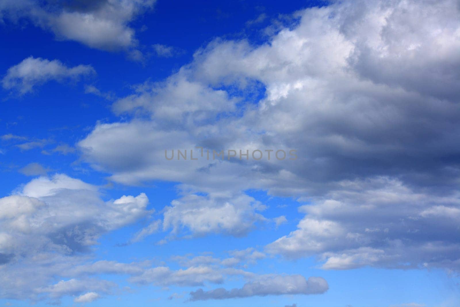 blue sky with sheep clouds