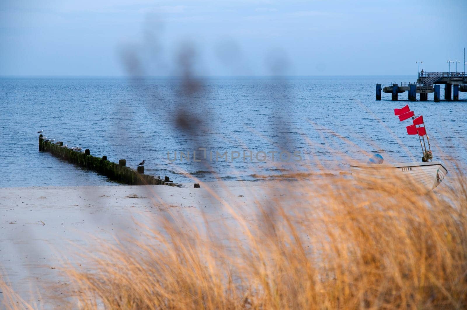 View over the dunes to the white sandy beach on the island of Usedom with dune grass in the blurred foreground and a small fishing boat at a groyne  Background