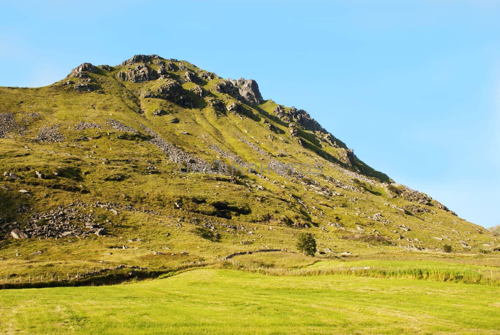 A Huge Green Hill With Grass on It