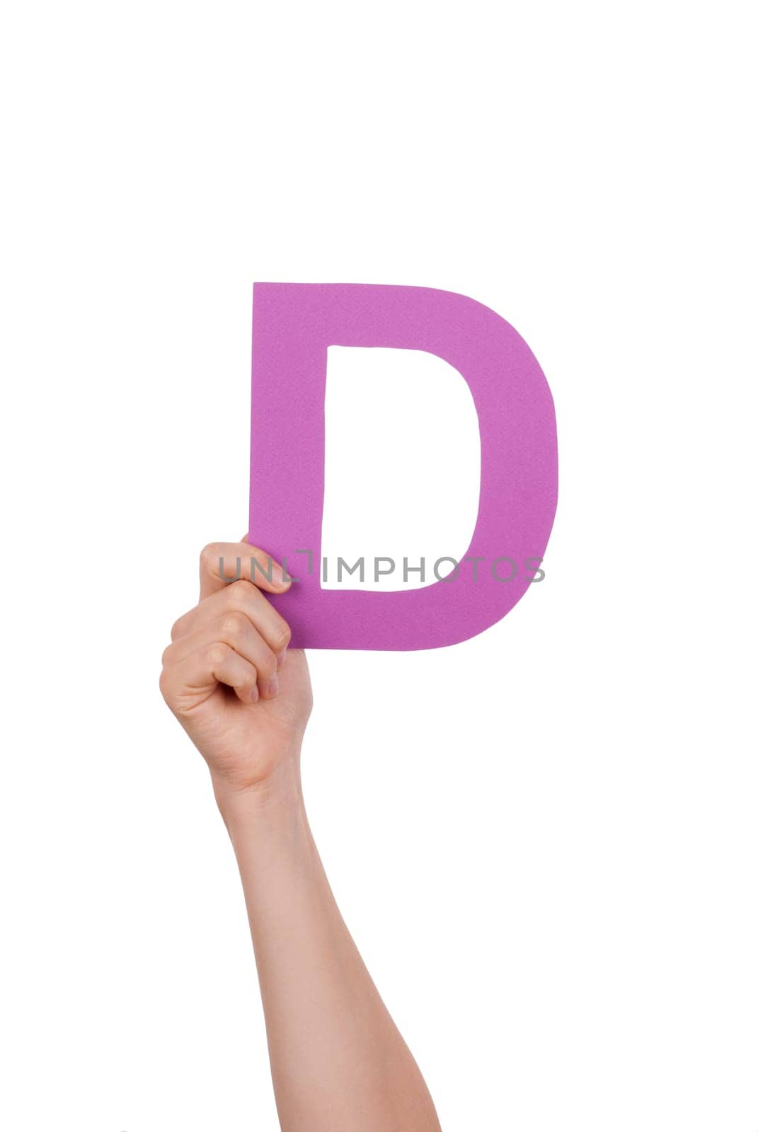 A Hand With a Purple D in It, Isolated