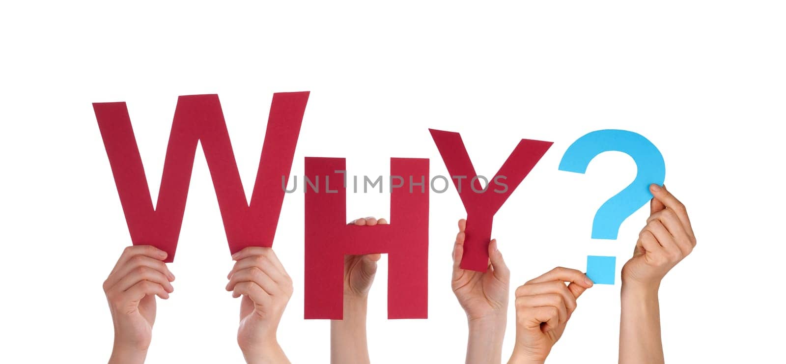 Many Hands Holding the Red Word Why, Isolated