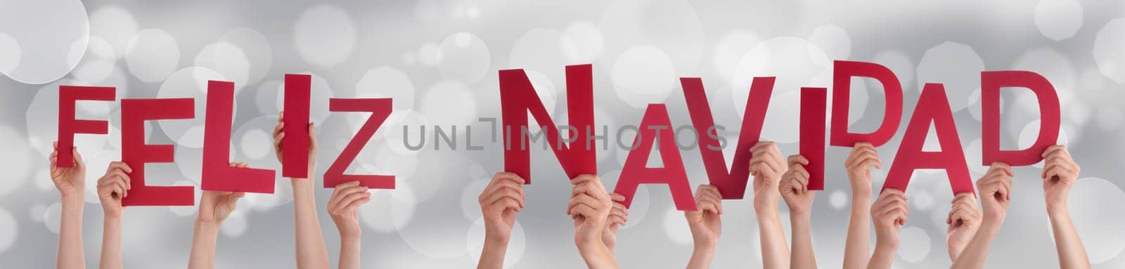 Many People Holding the Spanish Words Feliz Navidad Which Means Merry Christmas on a Festive Background