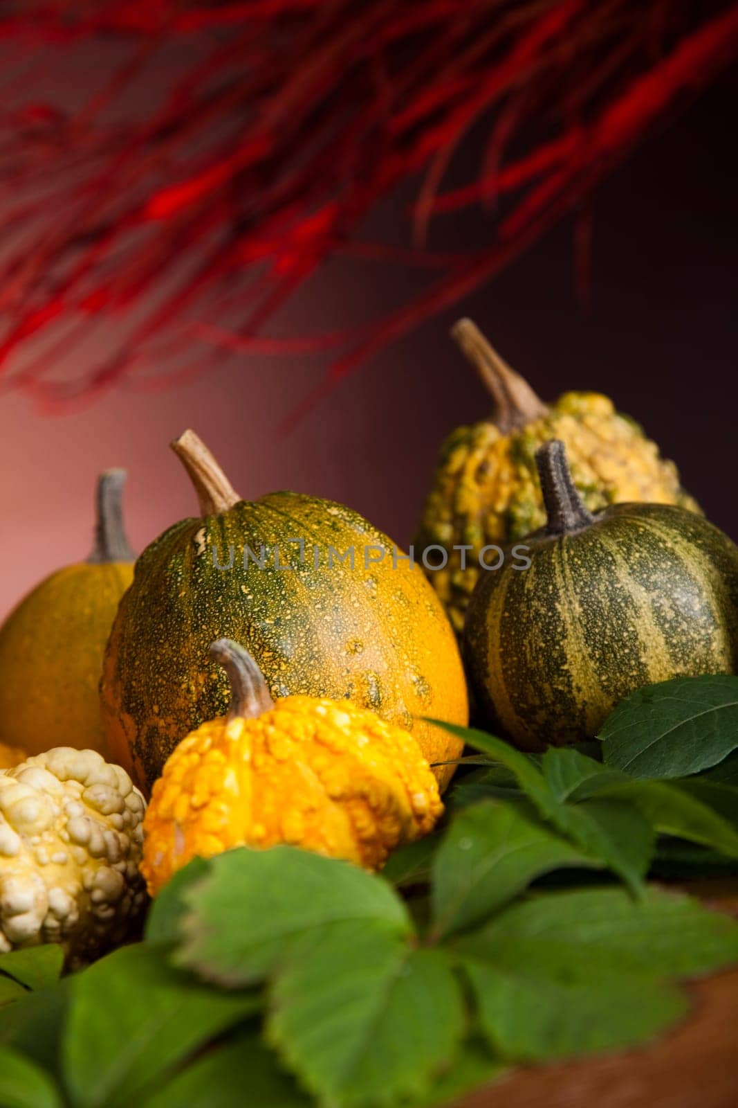 Halloween pumpkin Jack