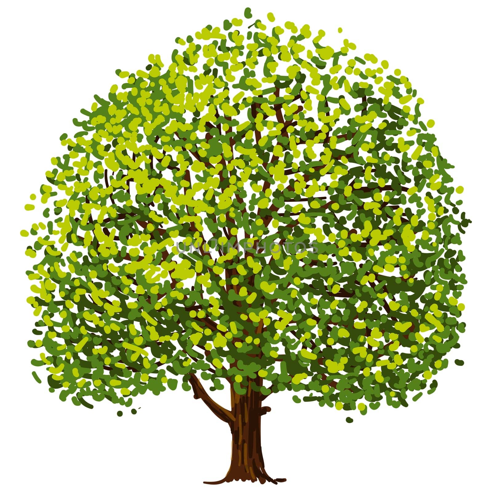 Illustration of tree with green leaves isolated on white background