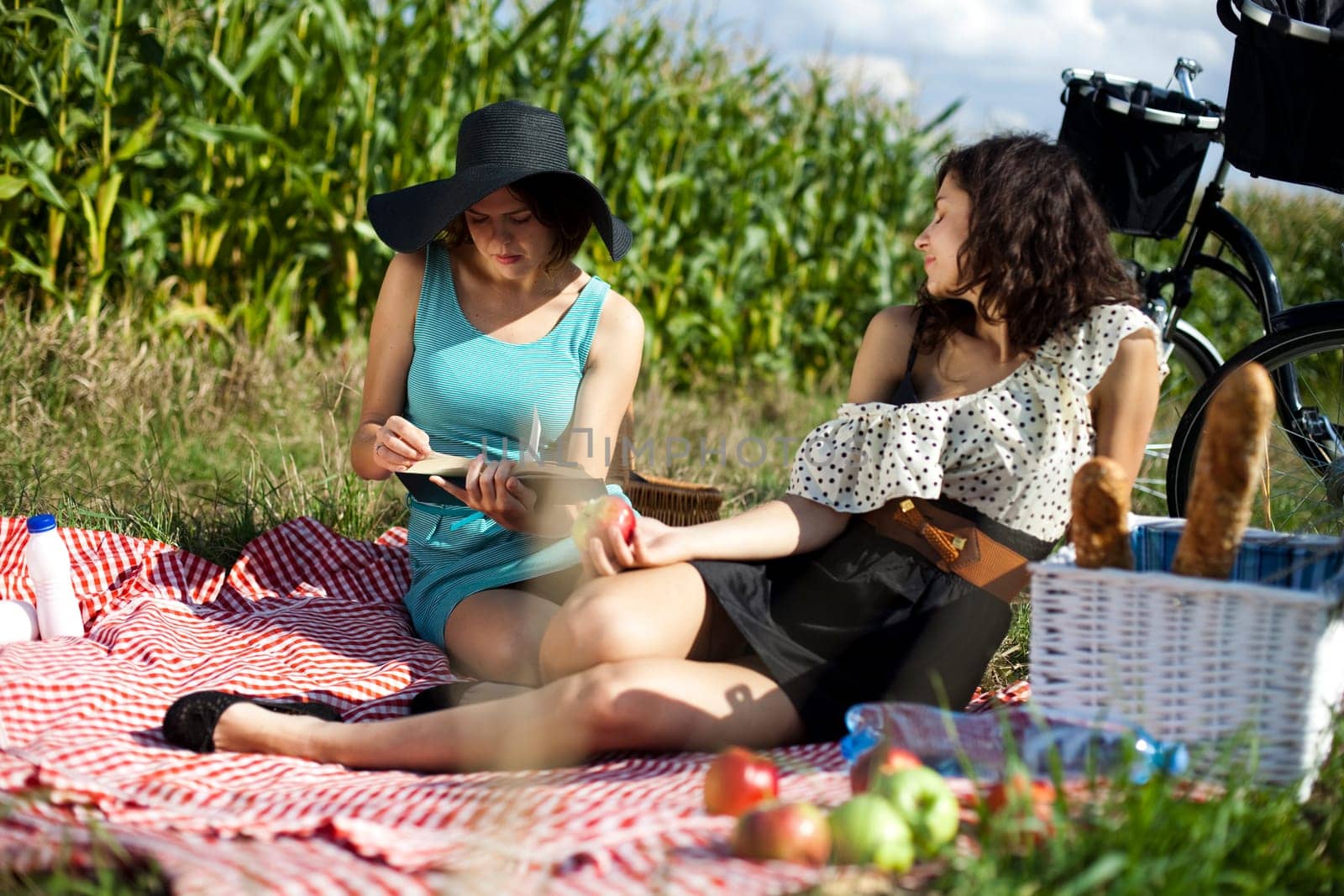 Friends Enjoying Picnic