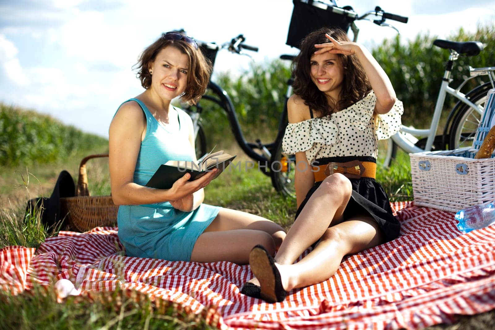 Friends Enjoying Picnic