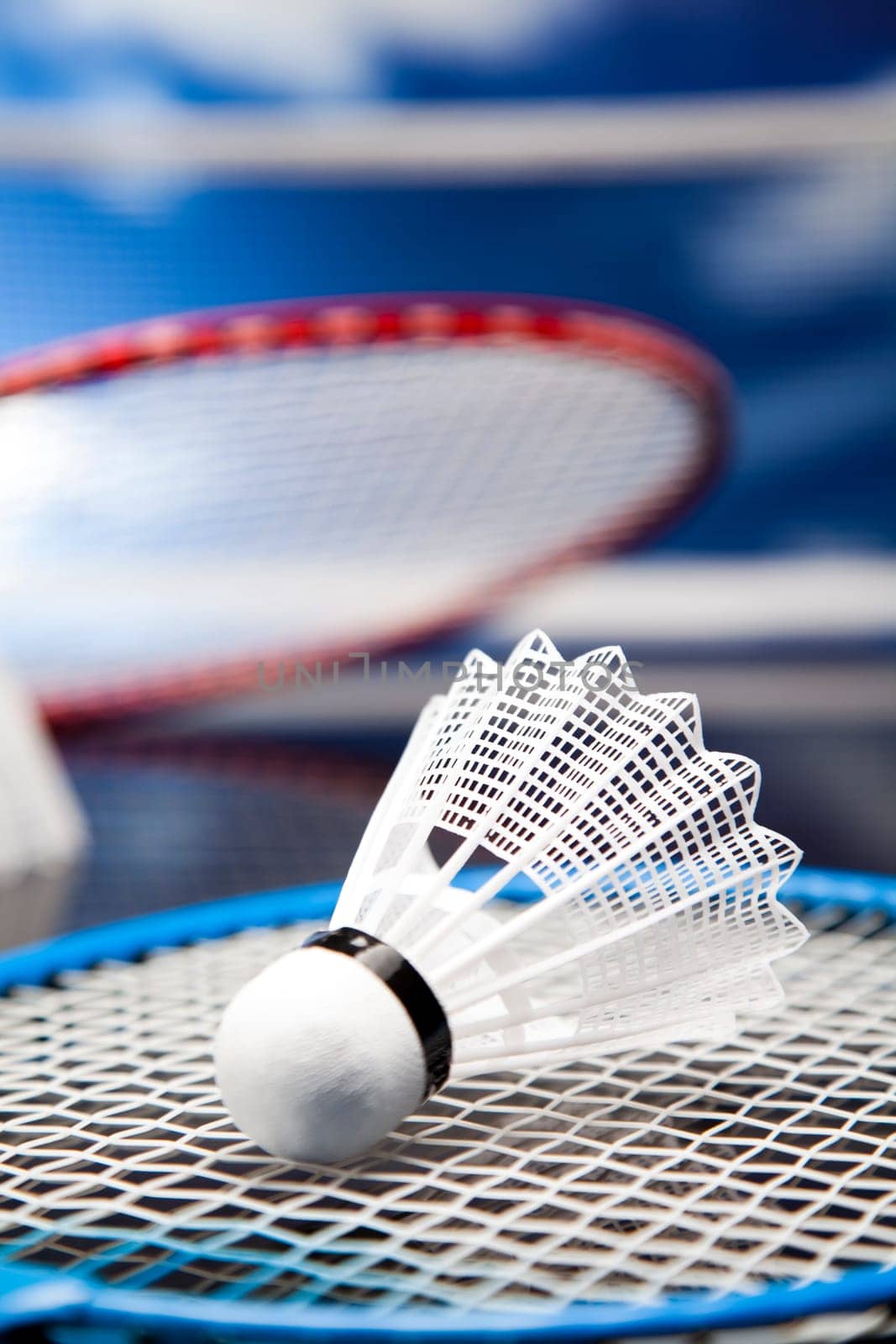 Shuttlecock on badminton racket