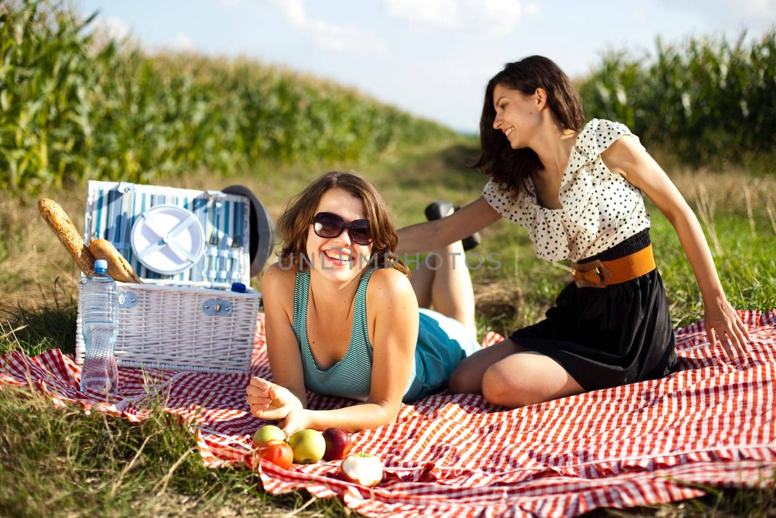Friends Enjoying Picnic