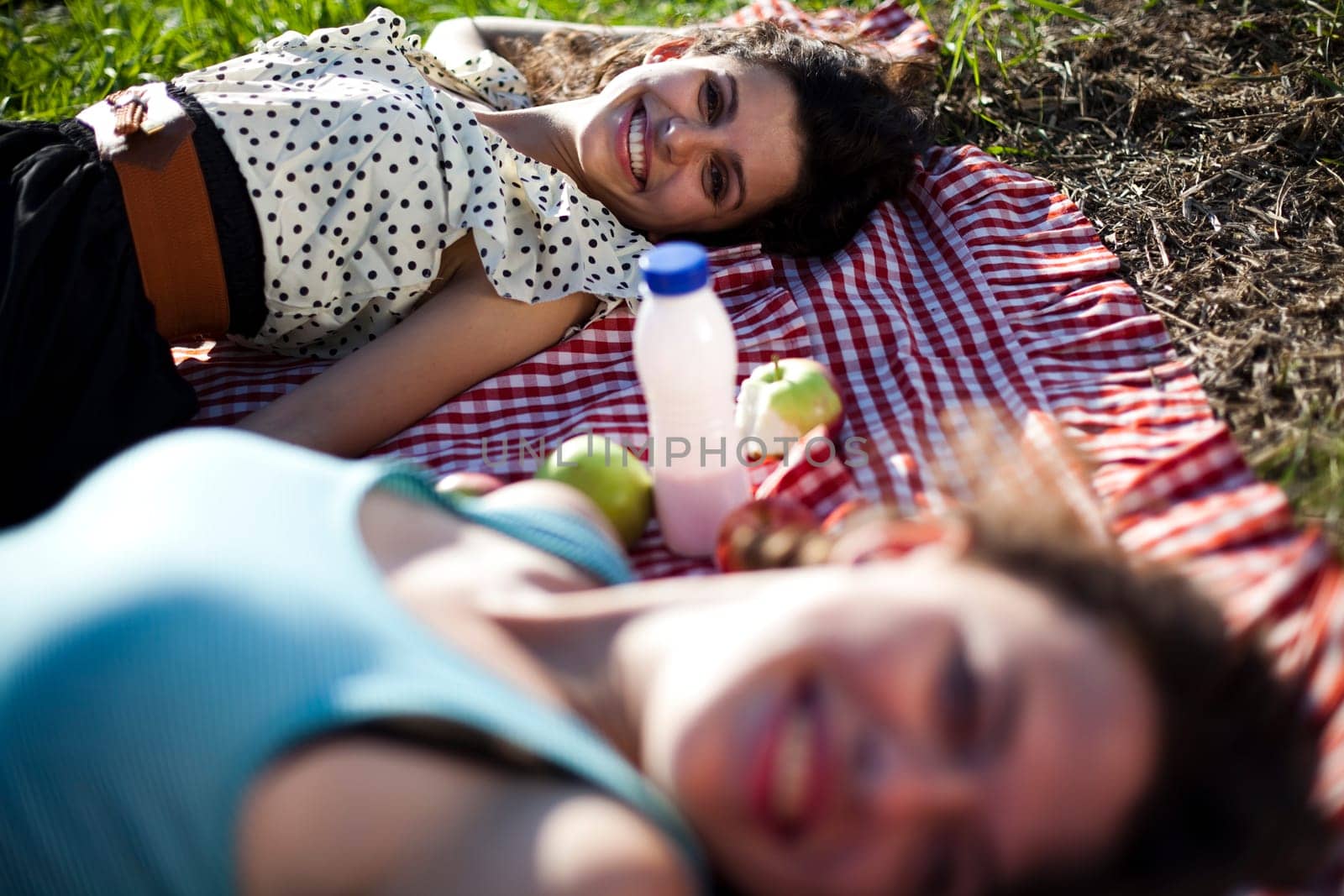 Girlfriends on picnic