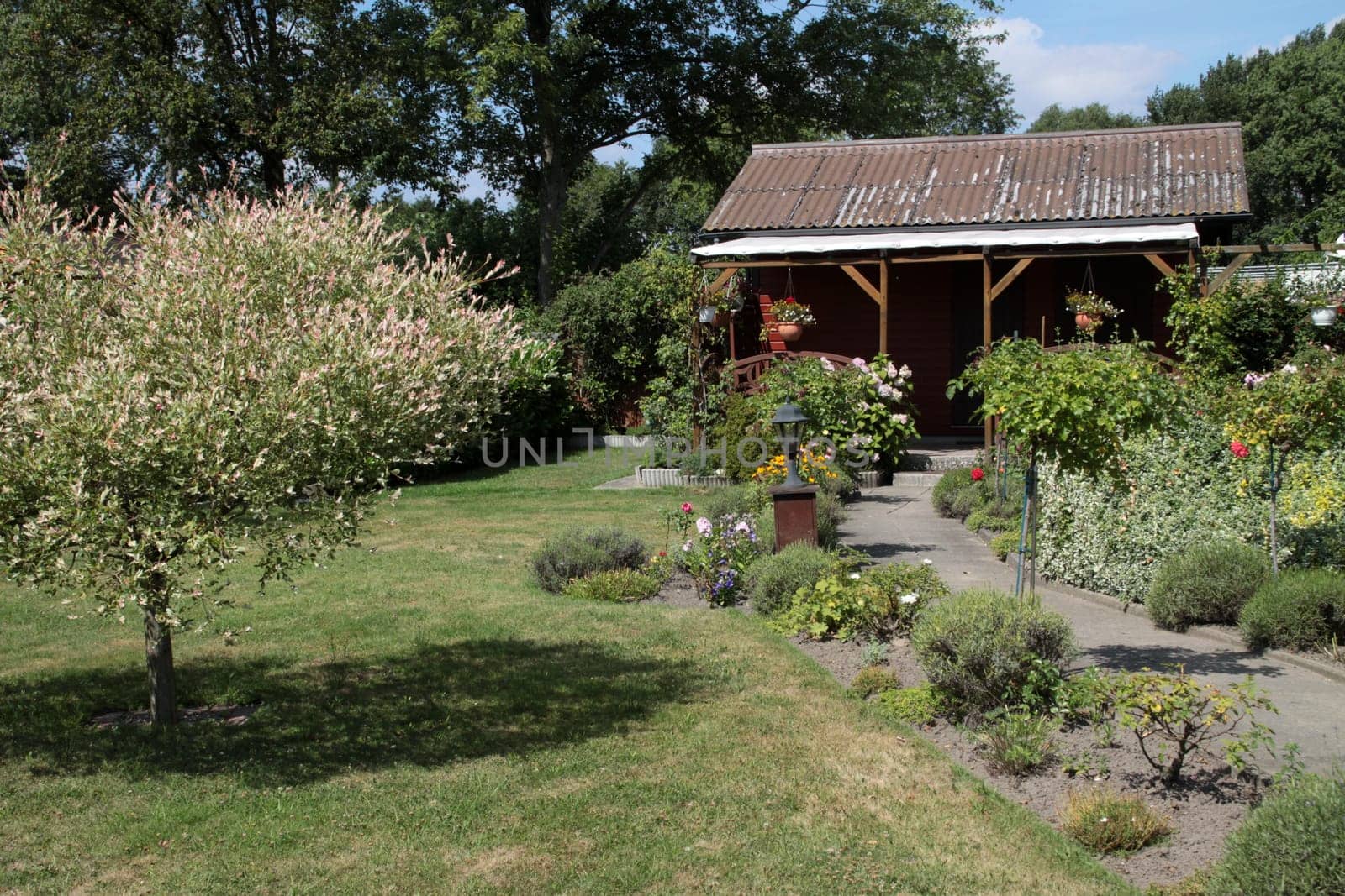 Allotment