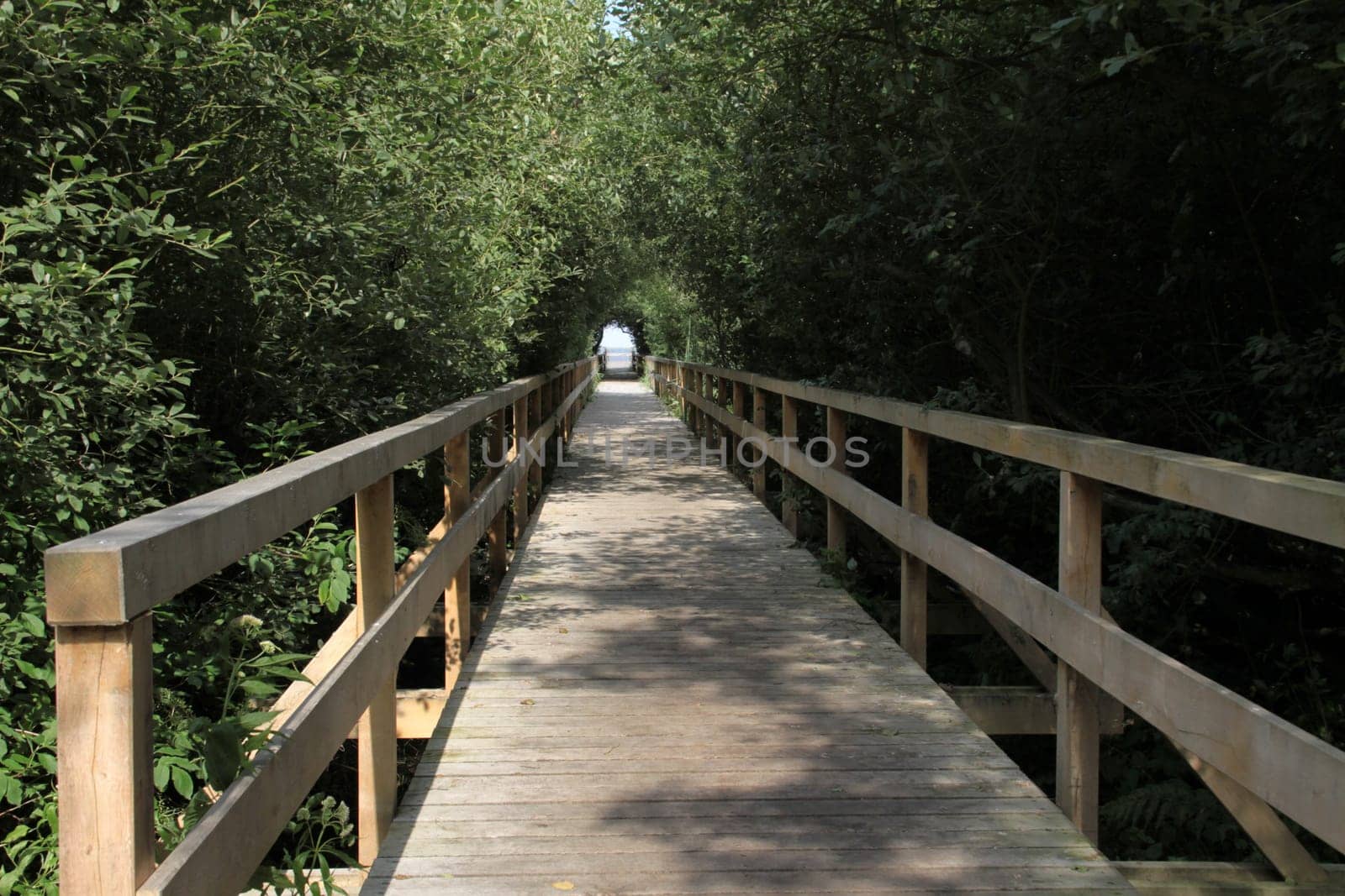 Corduroy road