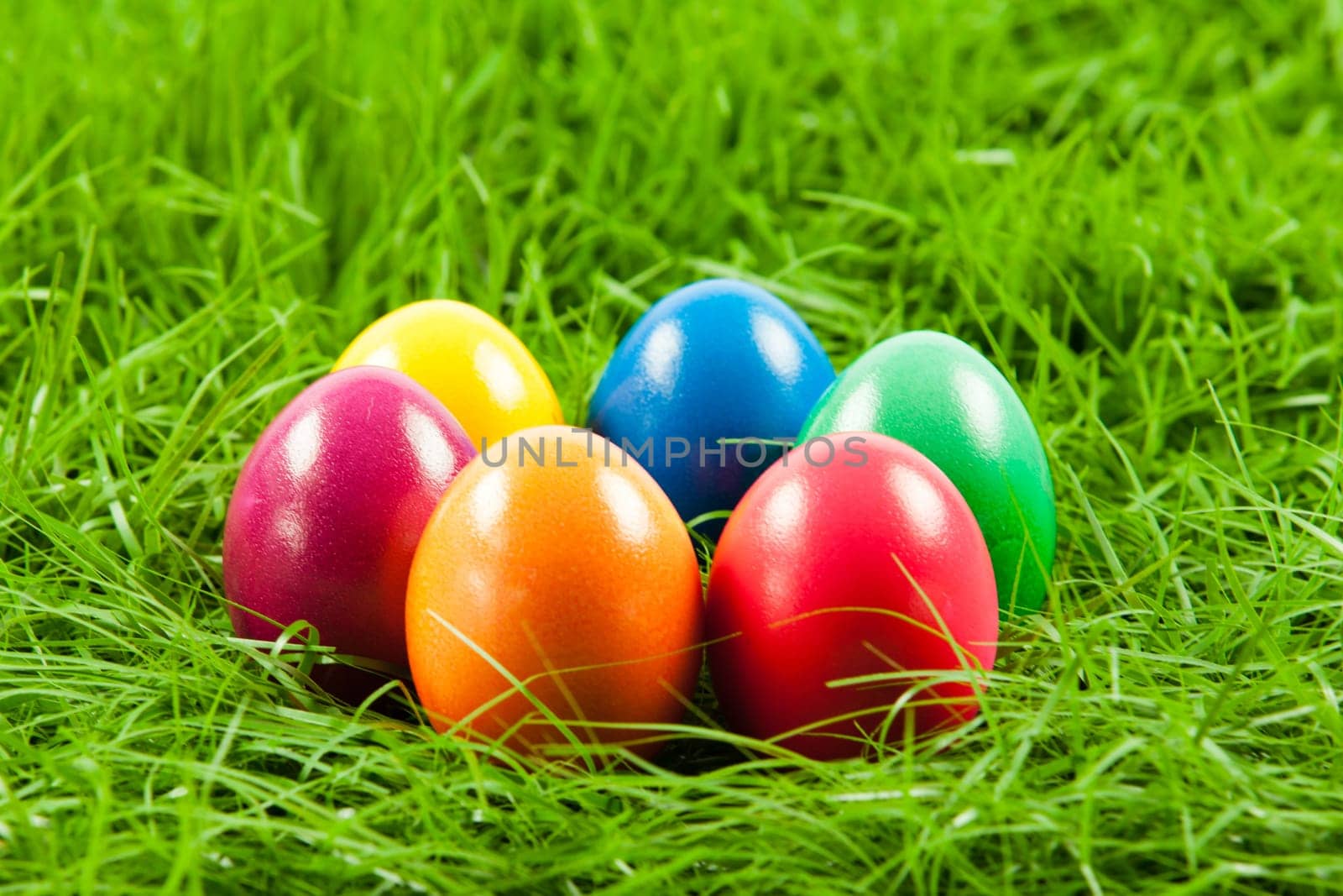 Easter eggs in Fresh Green Grass .