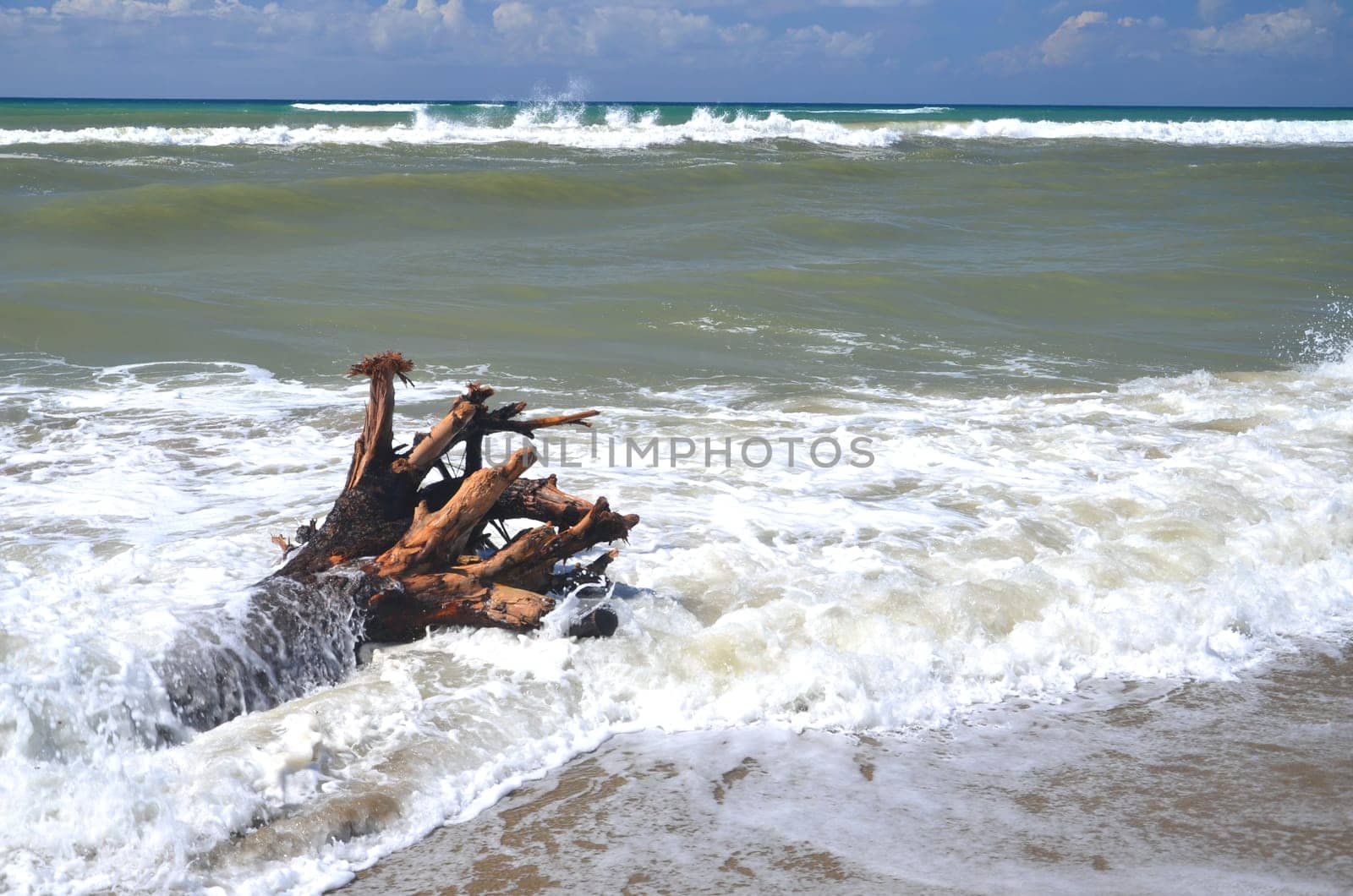 Restless sea on sandy beach Marina di Vecchiano nearby Pisa, Tuscany in Italy