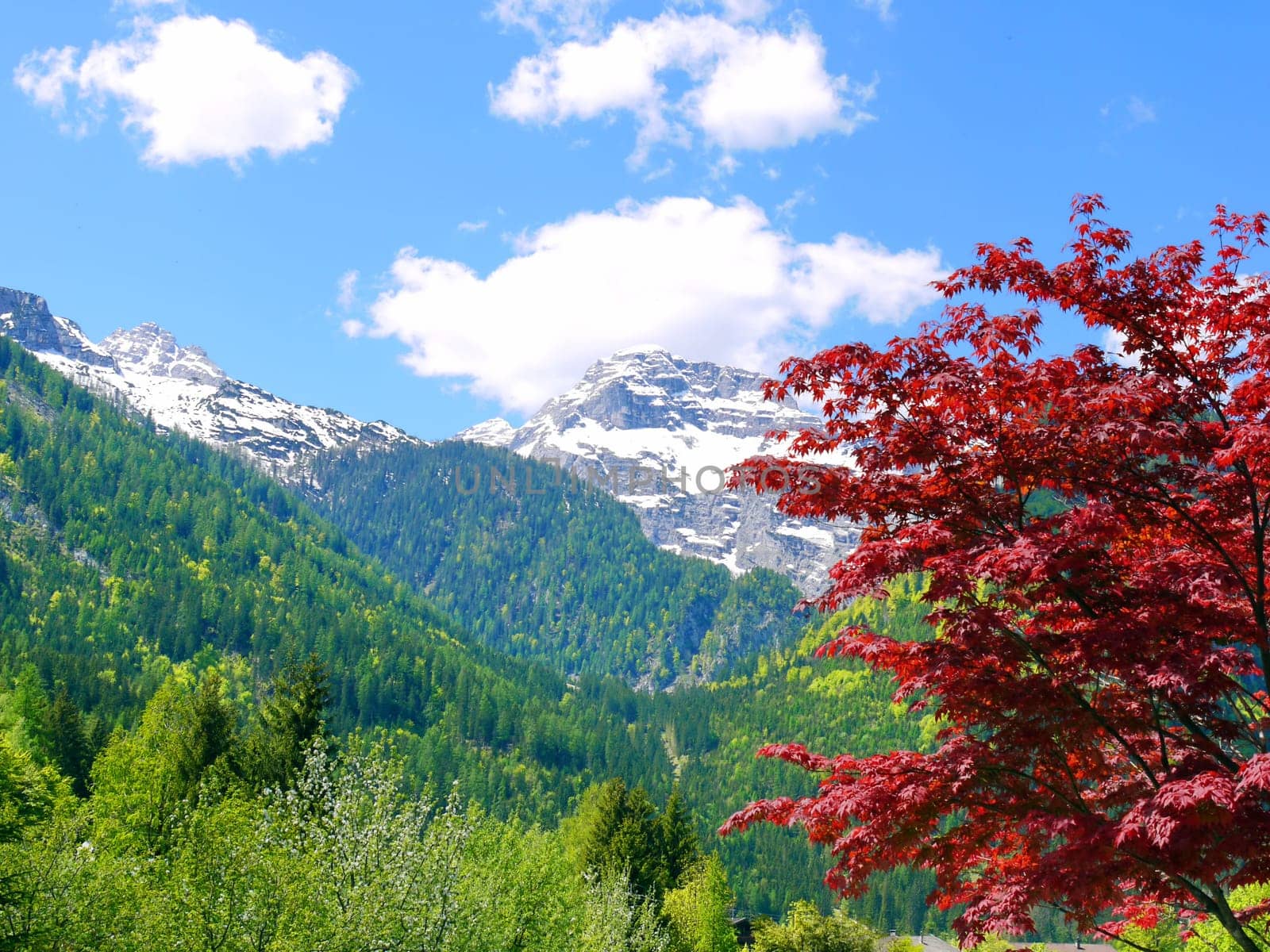 Mountains Alps Austria