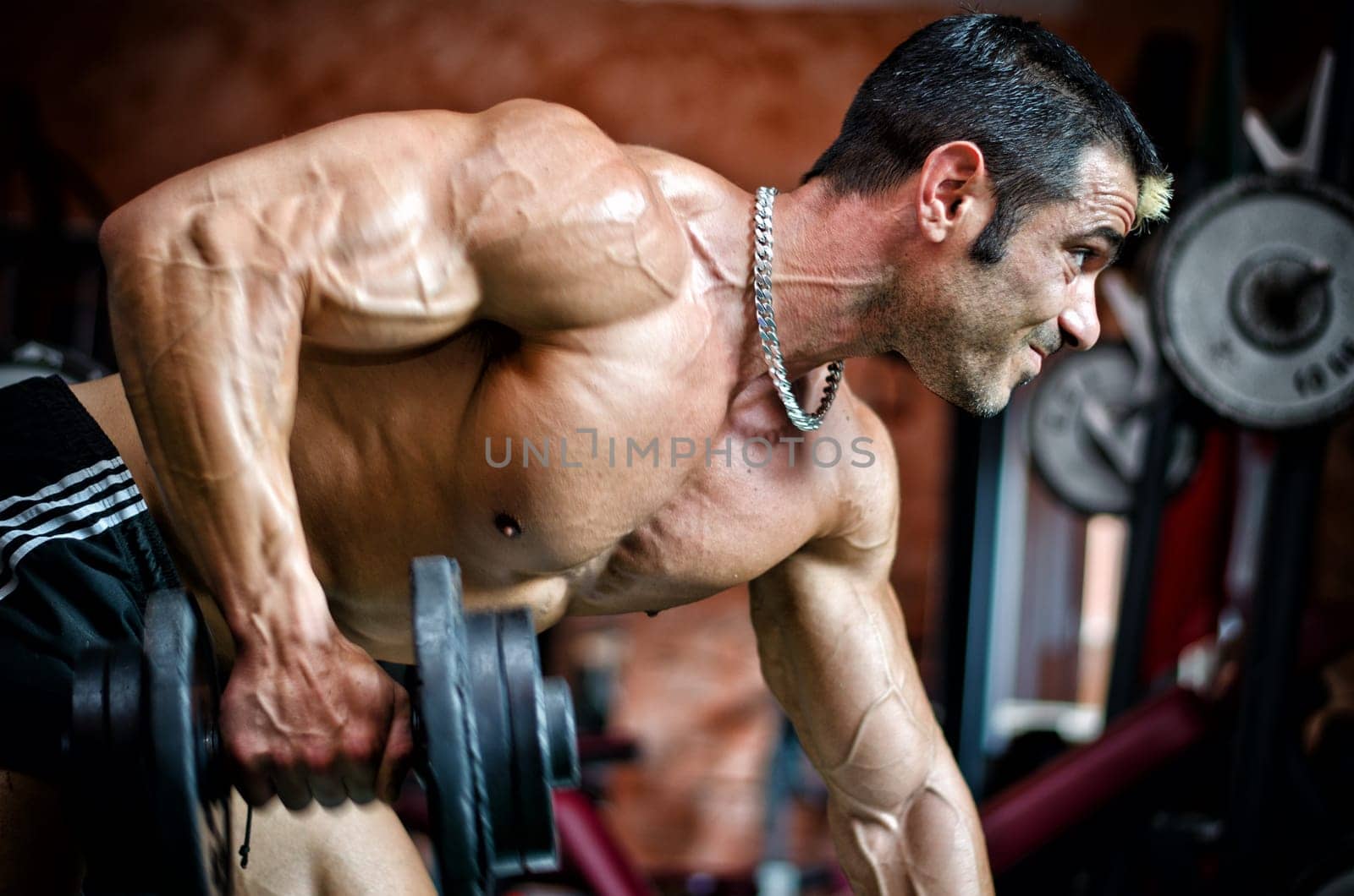 Muscular male bodybuilder working out in gym, exercising triceps leaning on a bench