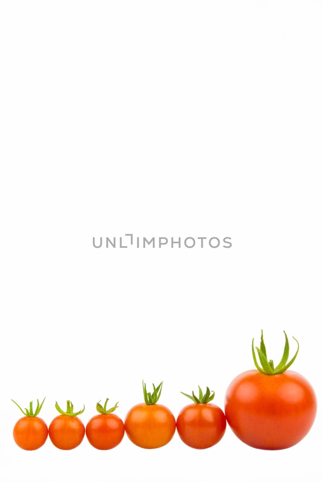 A range of cherry and vine tomatoes