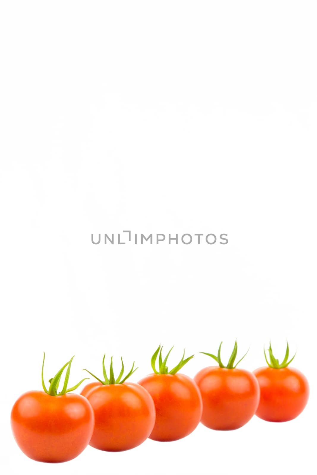 Several tomatoes in an oblique row