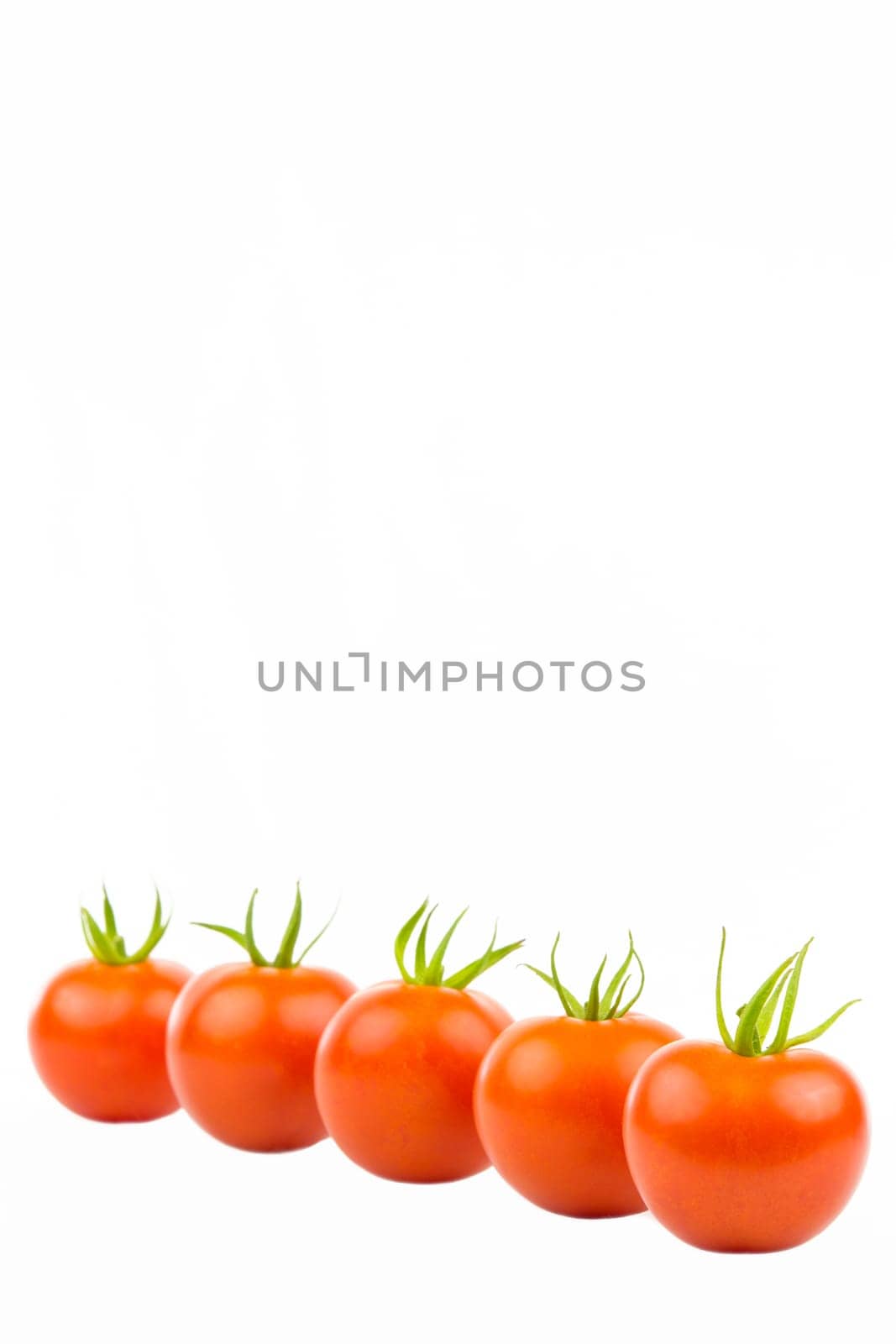 Several tomatoes in an oblique row