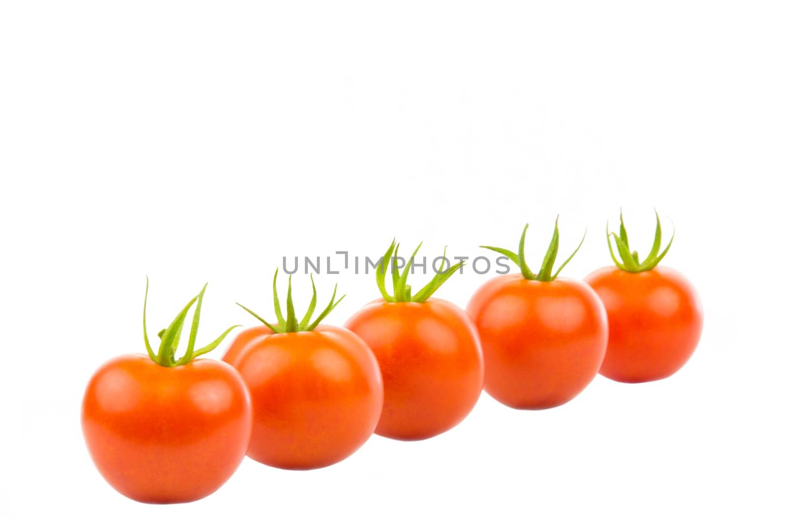 Several tomatoes in an oblique row