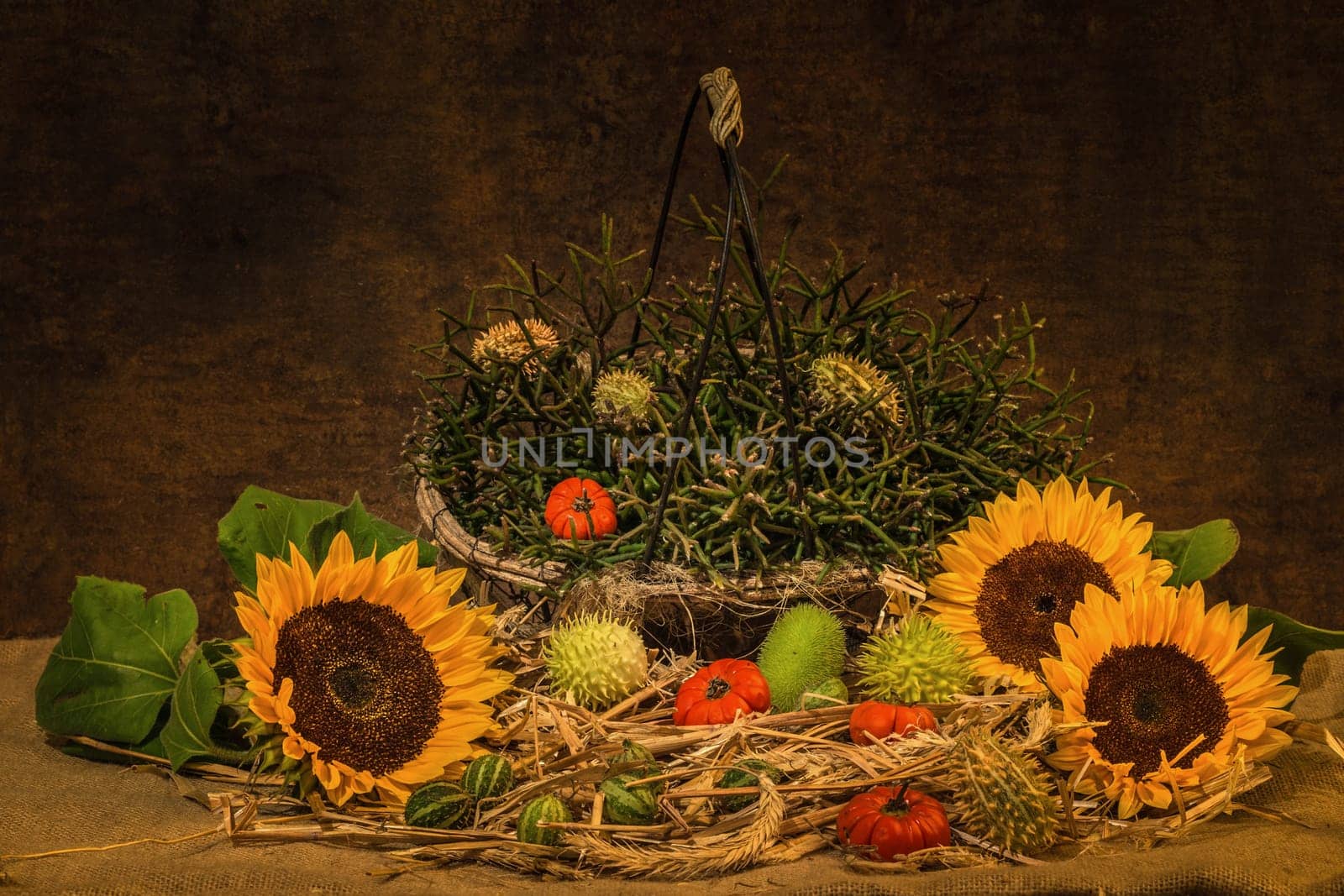 autumnal