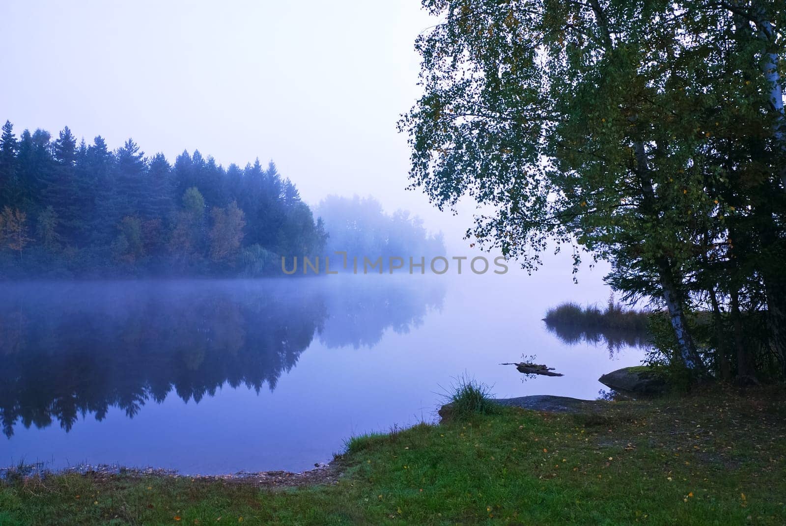 Cool morning at the pond
