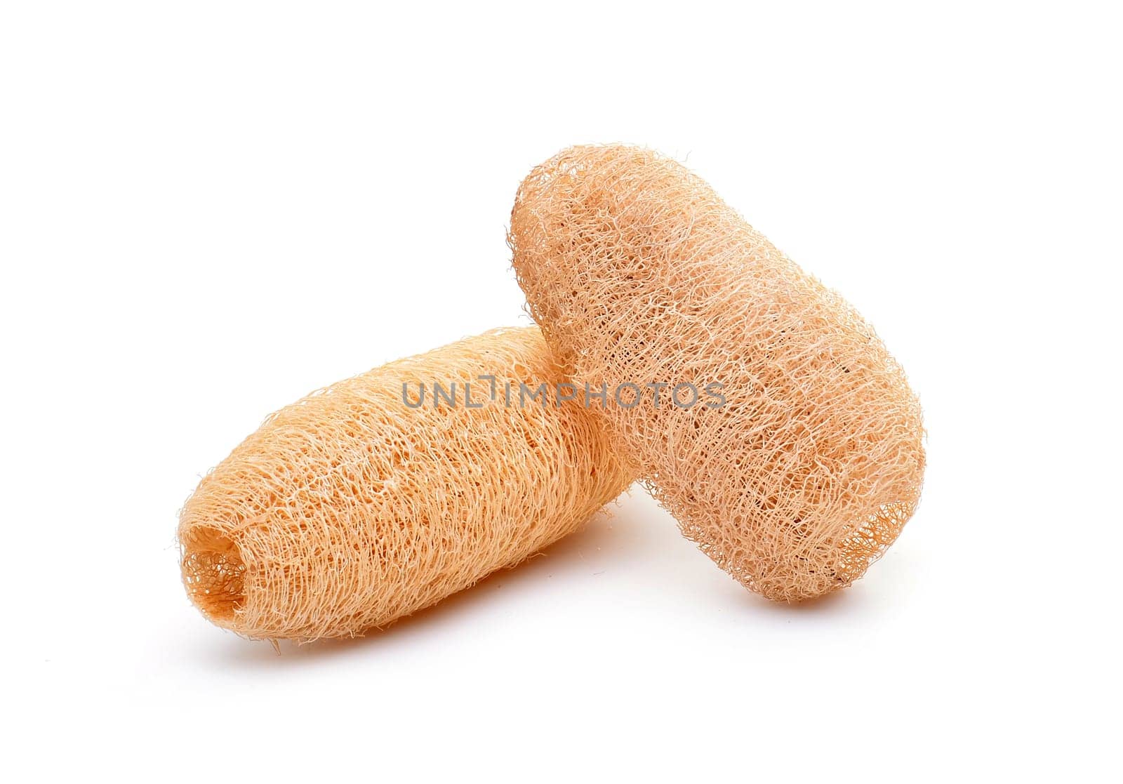 loofah isolated on white background