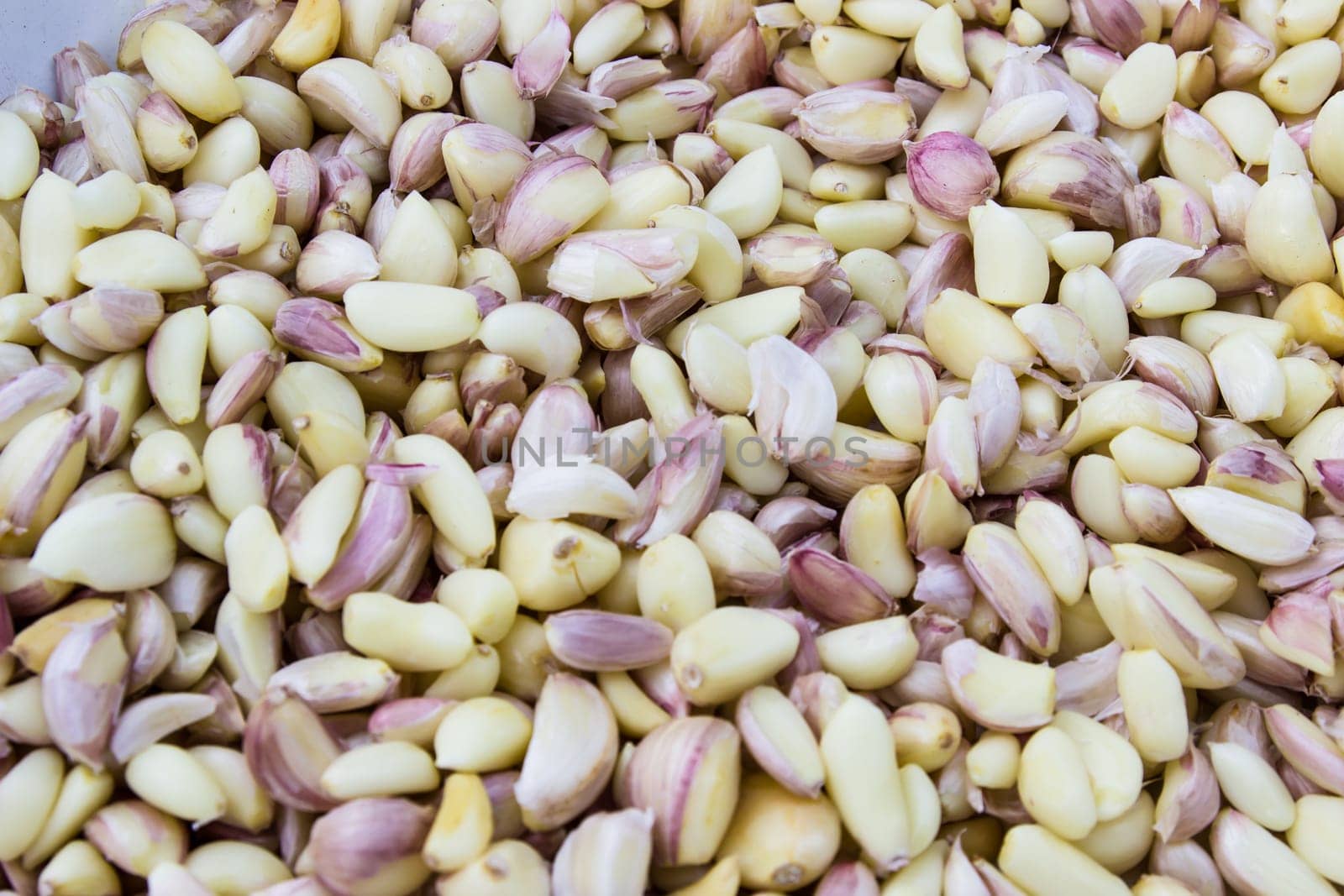 Garlic  isolated on white background