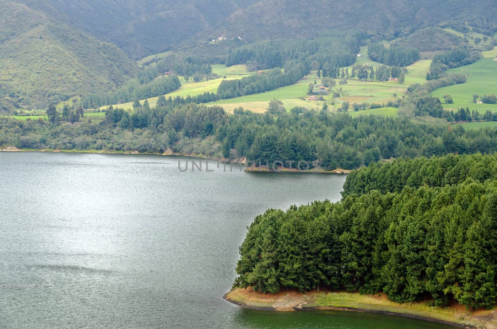 View of a wooded island in lake in Neusa, Colombia