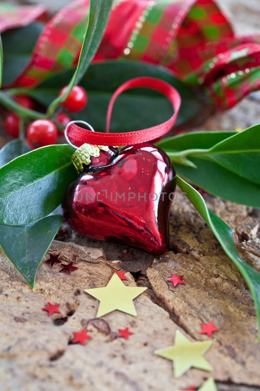 Decoration in red and gold for Christmas on fir branches
